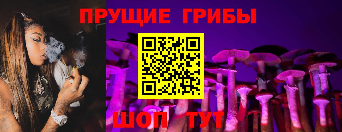 Псилоцибиновые грибы мицелий Прокопьевск